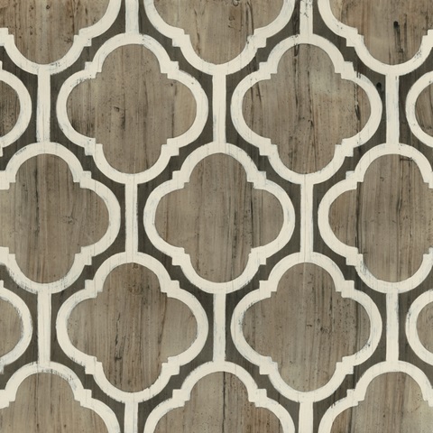 Driftwood Geometry VI