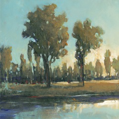 Early Morning Spring