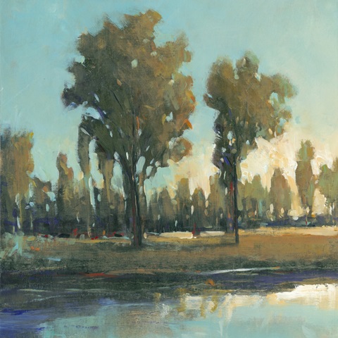 Early Morning Spring