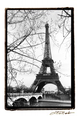 Eiffel Tower Along The Seine River