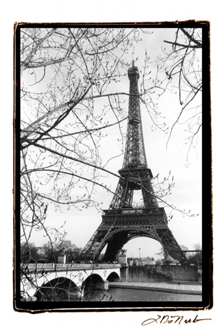 Eiffel Tower Along The Seine River