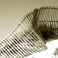 Fences in the Sand III