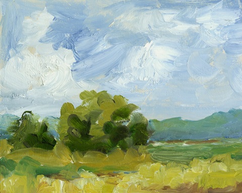 Field Color Study I