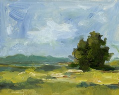Field Color Study II