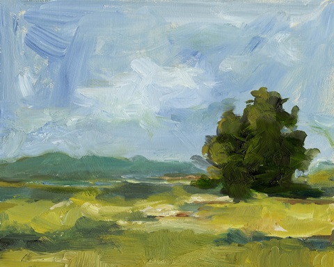 Field Color Study II