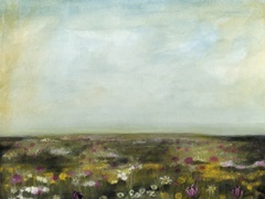 Floral Fields II