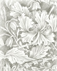 Floral Pattern Sketch I