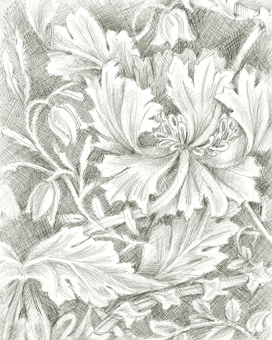 Floral Pattern Sketch I