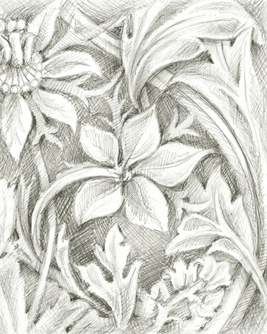 Floral Pattern Sketch III