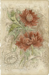 Floral Pattern Study I