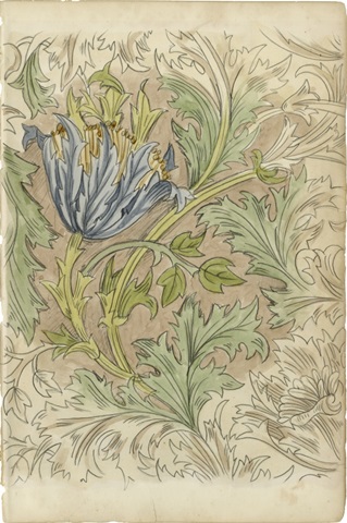 Floral Pattern Study III