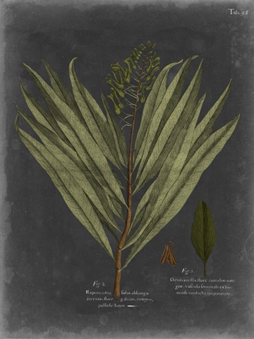 Foliage Dramatique II