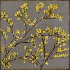Forsythia I