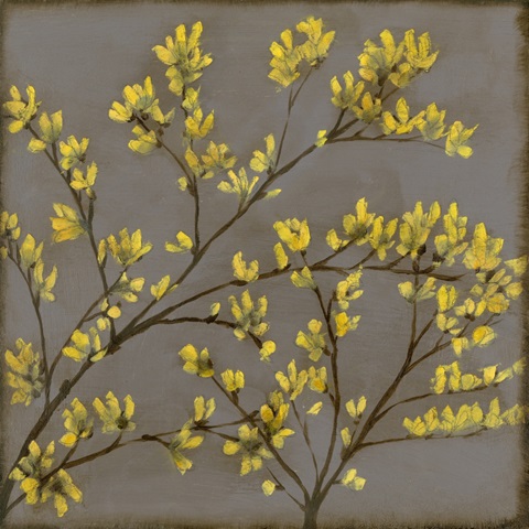Forsythia I