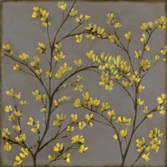 Forsythia II