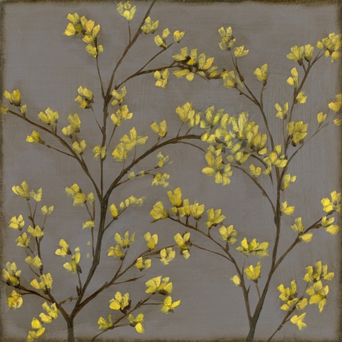 Forsythia II