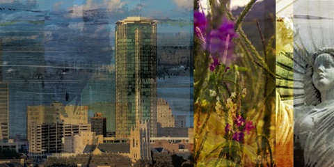 Fort Worth Collage II