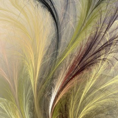 Fountain Grass I