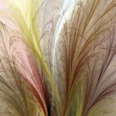 Fountain Grass II