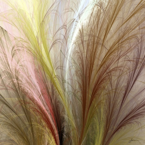 Fountain Grass II