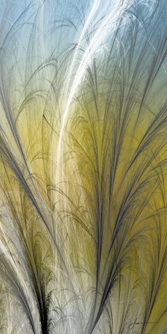 Fountain Grass III