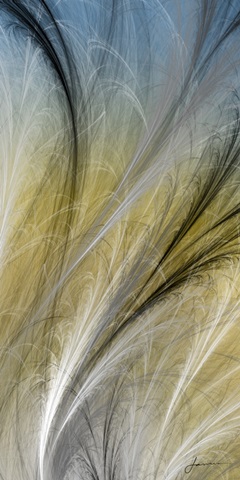 Fountain Grass IV