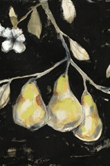Fresh Pears I