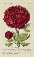 Gardener's Guide III