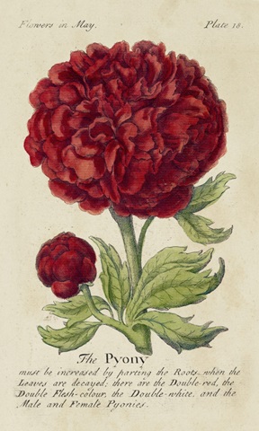 Gardener's Guide III