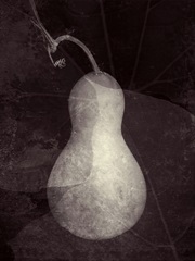 Gourd I