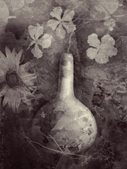 Gourd II