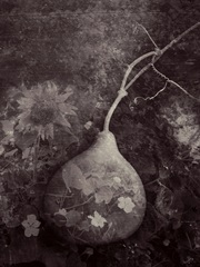 Gourd IV