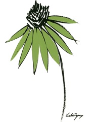 Graphic Cone Flower I