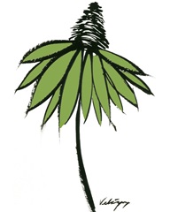 Graphic Cone Flower II