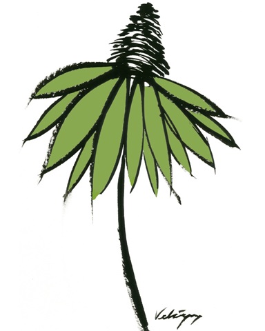 Graphic Cone Flower II