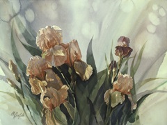 Hadfield Irises II