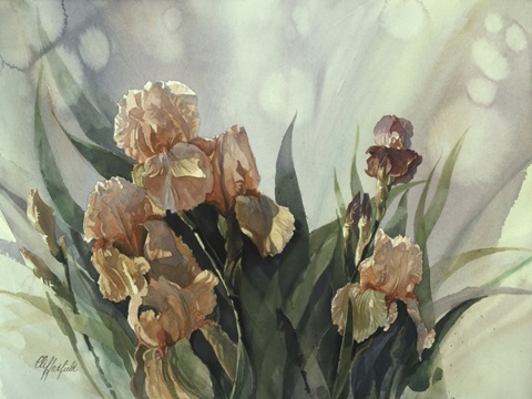 Hadfield Irises II