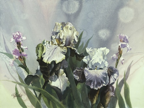 Hadfield Irises III