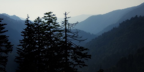 High Country Silhouette I