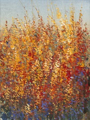 High Desert Blossoms I