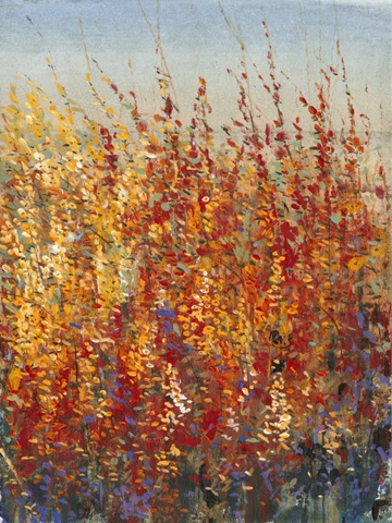 High Desert Blossoms II