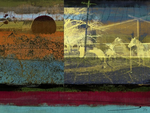 Horse and Hay Collage