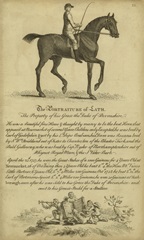 Horse Portraiture III