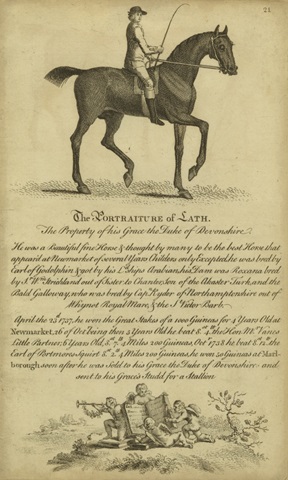 Horse Portraiture III