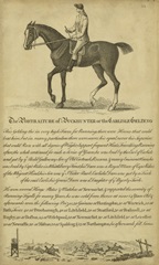 Horse Portraiture IV