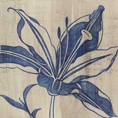 Indigo Lily