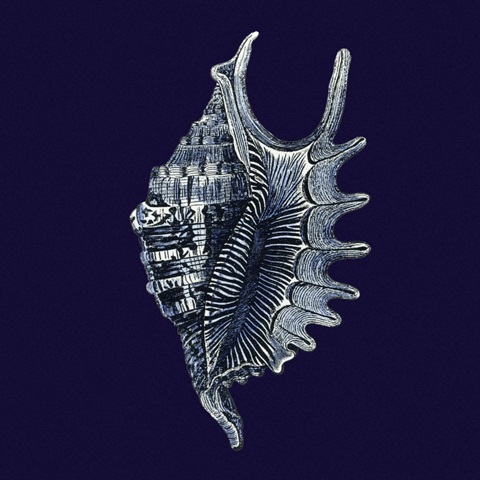 Indigo Shells VI