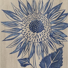 Indigo Sunflower