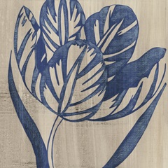 Indigo Tulip