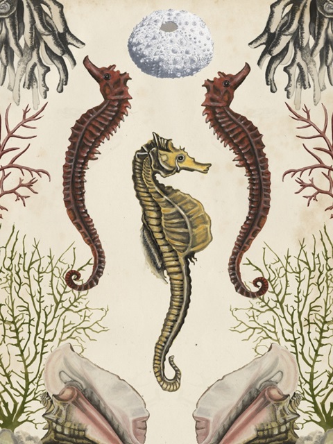 Antiquarian Menagerie - Seahorse